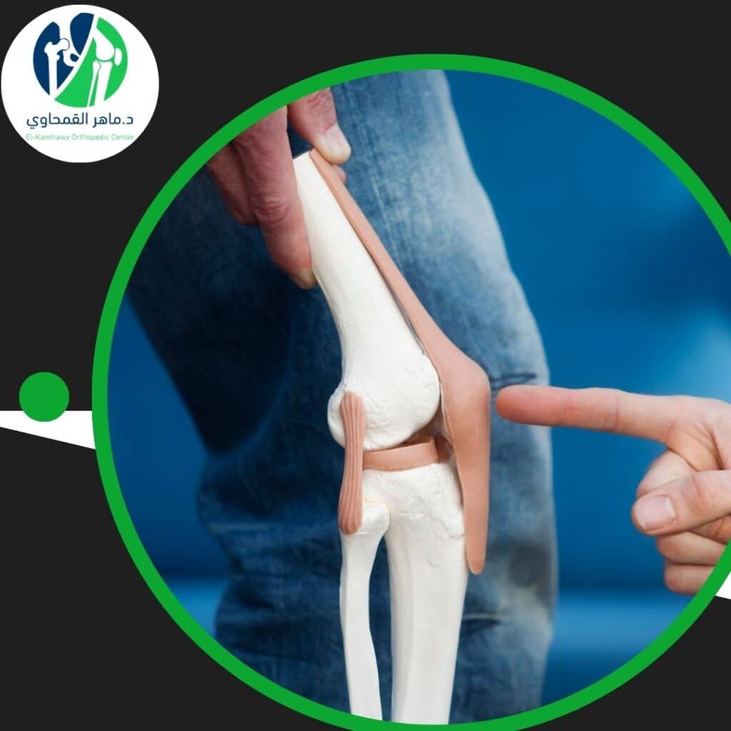 أفضل دكتور علاج غضروف الإسكندرية 4 أفضل دكتور علاج غضروف الإسكندرية
