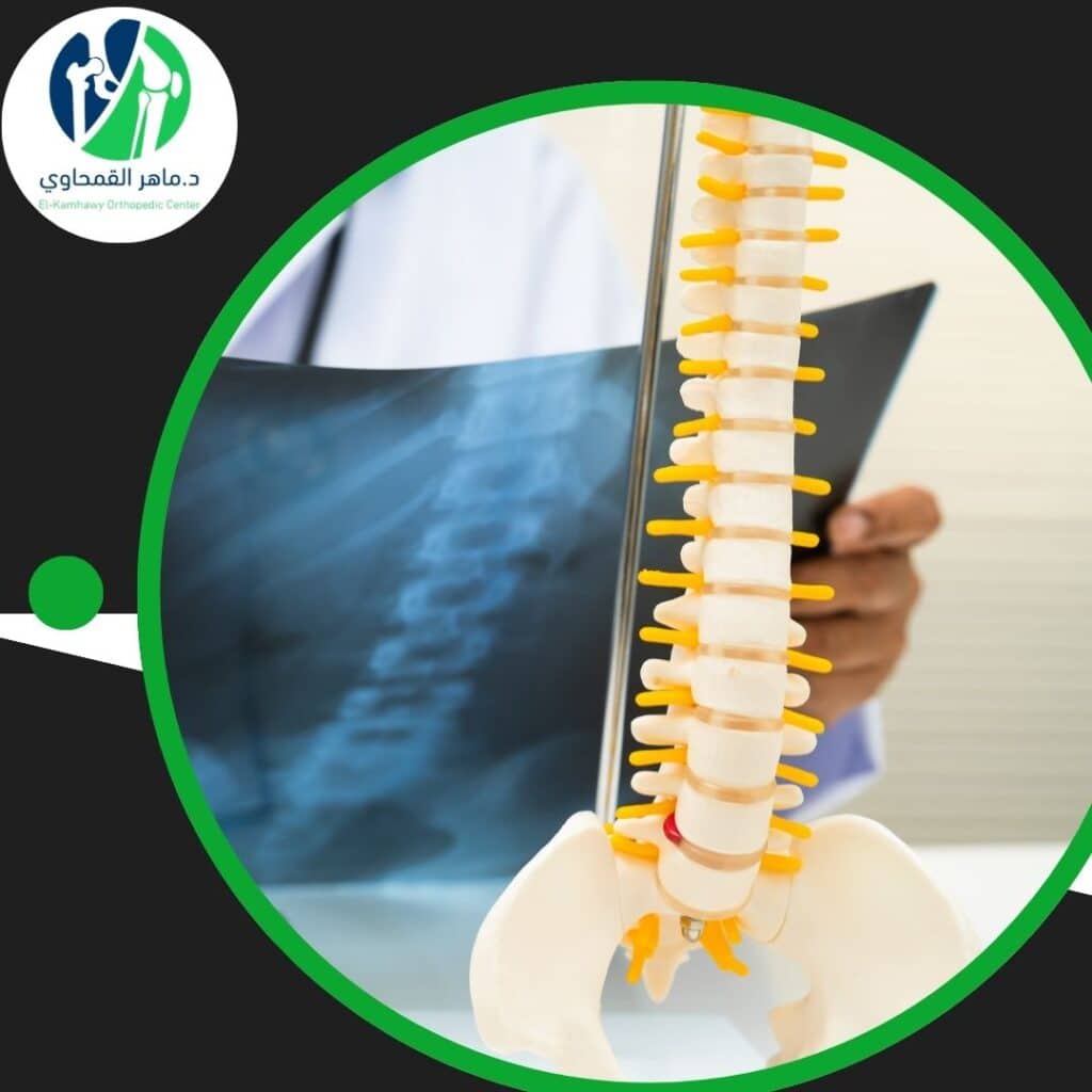 دليل المريض الليبي في الإسكندرية (1)
